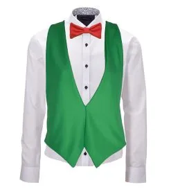 Adults Wales Welsh Cymru National Flag Backless Waistcoat & Bowtie Fancy Dress [2 Sizes]