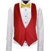 Adults Spain Espania Spanish National Flag Backless Waistcoat & Bowtie Fancy Dress [2 Sizes]