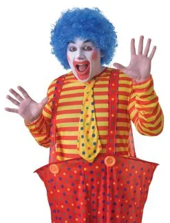 Blue Clown Pop Circus 1970s Afro Wig Fancy Dress & Cos Play