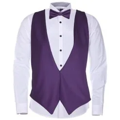 Adult Unisex Royal Purple Backless Waistcoats & Elasticated Dicky Bow Caberet Costume Accessory -Halloween Shop 3dc67ee8 63ec 438b 9089 1a0ab7e79ce7 30075.1649151000
