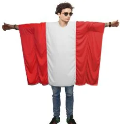 Adults Austria Austrian National Flag Poncho Patriotic Supporters Fancy Dress Costume [One Size]