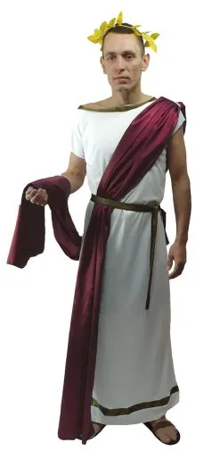 Mens Greek God Roman Senator Grecian Mythology Toga Robes Historical Fancy Dress Costume -Halloween Shop 48d95682 007d 4025 aa67 083a6339f9c5 13839.1620300952
