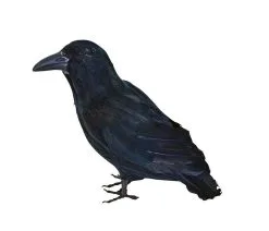 Black Raven Crow Halloween Prop Accessory Decoration Fancy Dress