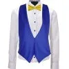 Adults Ukraine Sweden Brazil National Flag Backless Waistcoat & Bowtie Fancy Dress [2 Sizes]