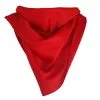 Cowboy Cowgirl Western Wild Rag Neckerchief Fancy Dress Accessory [Red]