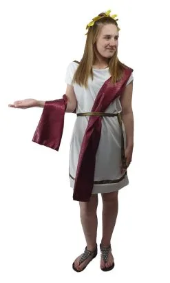Ladies Deluxe Roman Greek Grecian Toga Tabard Robes Historical Fancy Dress Costume -Halloween Shop api3cbgwa 33784.1620416405