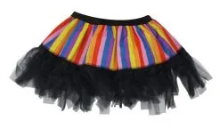 Ladies 12" Rainbow Striped LGBT Cyber Tutu Skirt Pride Fancy Dress -Halloween Shop api6tpzoc 48648.1647862833