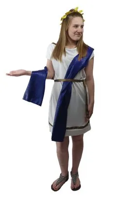 Ladies Deluxe Roman Greek Grecian Toga Tabard Robes Historical Fancy Dress Costume -Halloween Shop api7dxr7r 07553.1620416409