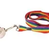Adults Rainbow Gay Pride LGBT Festival Party Stay Safe NHS Cord Whistle