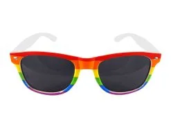 Adults Rainbow Gay Pride Dark Glasses LGBT Stay Safe NHS Sunglasses