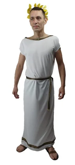 Adults Deluxe Roman Grecian Greek Toga Tabard Robes & Laurel Historical Fancy Dress Costume 5 Adults Deluxe Roman Grecian Greek Toga Tabard Robes & Laurel Historical Fancy Dress Costume -Halloween Shop apih3zjm7 68605.1620416481