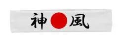 Olympian Mixed Martial Arts Japanese Chinese Brazilian Combat Fighting Headbands -Halloween Shop apiwibwwz 03414.1627394874