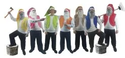 Adults 7 Dwarfs Gnomes Elf Stag Night Festival Group Fancy Dress Costume