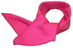 Adults 22" Length Neon Pink Rock & Roll Skirt & Neck Tie 1950's Fancy Dress [2 Sizes] -Halloween Shop e84da1eb 814c 43f4 b5a4 e8fd09fec308 38947.1681828243