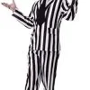 Adults Crazy Beetlejuice Movie Ghost Halloween Fancy Dress Costume [Standard]