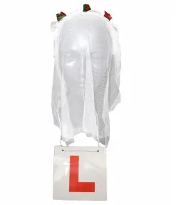 Ladies Night Hen Do L-Plates & Rose Veil Bride To Be Fancy Dress Accessory