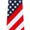 USA Windsor Knot Fotmal Tie Stars & Stripes America 4th July Uncle Sam Donald Trump